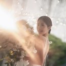 오위스튜디오