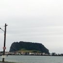 성산백양