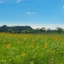 성당포구 화장실 이미지