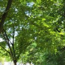 광서유치원 이미지