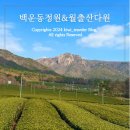 강진반값 강진 여행지 추천 백운동정원 월출산다원 설록다원강진