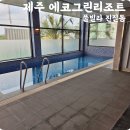 그린풀빌라 | 제주 가족 숙소 에코그린리조트 100평 풀빌라 솔직 후기