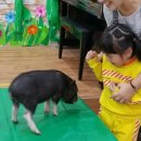 윤슬이네 이미지