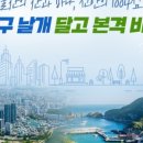 바다날개