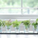 (주)제레스 이미지