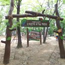 오목문화 유아숲체험원 이미지
