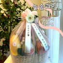 늘솜과일 | 창원과일바구니 첫인사 선물 설날 선물세트 늘솜과일