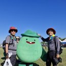 와랑와랑 이미지