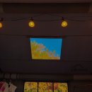 공수어촌계(공수어촌체험마을) | [안산] 대부도 라일락 캠핑장 조용하고 깨끗한 시설, 하니와 감따기 체험까지!