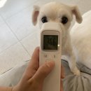 해밀동물병원 이미지