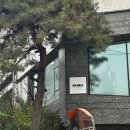 무의류 | [강남 맞춤정장] 웨딩 촬영 수트 대여 '무의(MUEUI)' 계약 찐 후기 🤵‍♂️✨