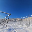 삼정농원 이미지