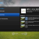 스크린씨씨 이미지