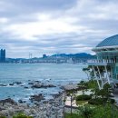 동백공원 대체 | 부산 해운대 대신 울산으로! 당일치기 여행 코스 재정비(대체 추천지 포함)