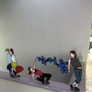 태인컨트리클럽 이미지