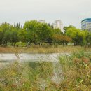 상동호수공원 이미지