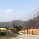 팬션 패트로누스 이미지