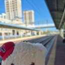 에스더크리닝 | [직관기록]2024년 9월 28일 기아타이거즈 경기(사직경기장 3루 와이드탁자석 321블록 4열 13번)