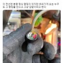누네띠네 이미지