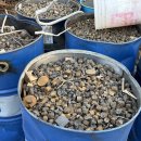 그린자원 | 화성고물상 믿고 맡기는 폐기물 처리, 다그린자원 후기