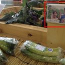 최정석농장 이미지