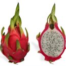 용과(龍菓; dragon fruit)=피타야 이미지