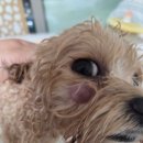 정 동물병원 이미지