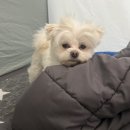 혁신온천 터닝포인트짐 | 12월은 어서오고