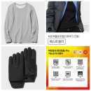 백세동물약국 | 부모님 겨울 옷 선물) 유니클로 히트텍 라이닝 글러브 패디드 장갑, 유니클로 히트텍 울트라웜 크루넥T...