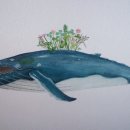 고래의꿈 이미지