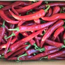 홍집농장 이미지