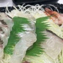 선장의 식탁 | [노량진 수산시장] '손선장' 에서 숙성회 먹고 별로였던 후기 (내돈내산)