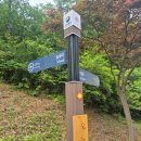거제산타고 노자산-가라산-망산 종주산행