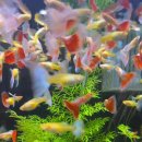 에코바른정형외과의원 이미지