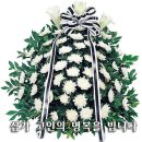 의흥동부초 이미지