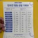 헬로우버디 광교점 이미지