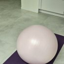 퇴계원로6번길29 | 임신29주 임산부 골반통증 짐볼 운동 팁(아리프 65cm 후기)