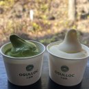 뮤지엄오크 | 제주 오설록 티뮤지엄, 오크 배럴 숙성티 후기