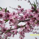 대석농장 이미지