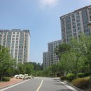 분당-206 이미지