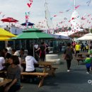 강진허브 이미지