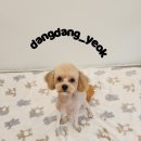 송내동3 이미지