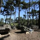 영광 성산리 지석묘군 이미지