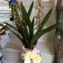 서울축산업협동조합 사료사업본부 이미지