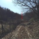 삼산면-7 이미지