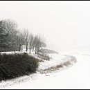 겨울나그네 이미지