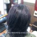 바이올렛염색#단발펌#러블리펌#태슬컷#일자단발양산여성숏컷트 양산숏커트잘하는미용실여성커트 여자짧은머리 고준희컷트뿌리펌 #뿌리볼륨펌#마호가니염색 이미지