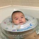 수영당 이미지