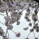 새천년공원길 이미지