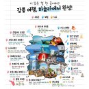 영진농장 | 강원도 휴가철 데이트 강추! 내돈내산 1박2일여행 ✍🏻2일차 하슬라아트월드 찐 후기